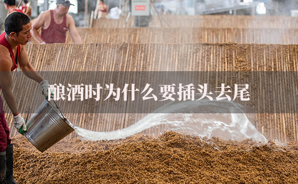 酿酒为什么要插头去尾