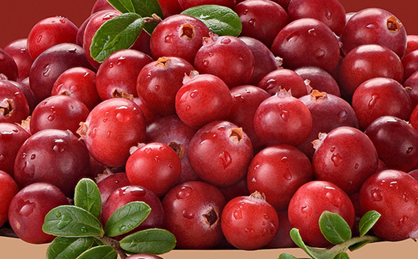 蔓越莓发酵酒的功效与禁忌