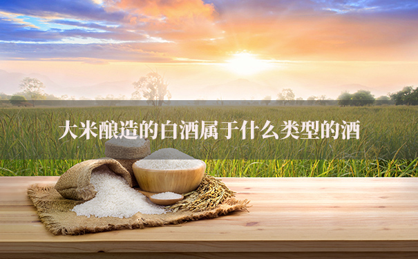 大米酿造的白酒属于什么类型的酒