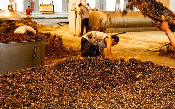 散白酒有酒糟味的原因及消除方法