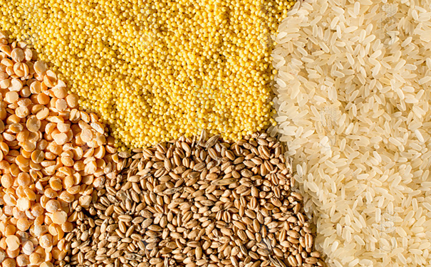 酿造白酒的五种常见粮食有哪些