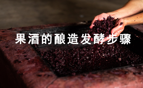 果酒的酿造发酵步骤