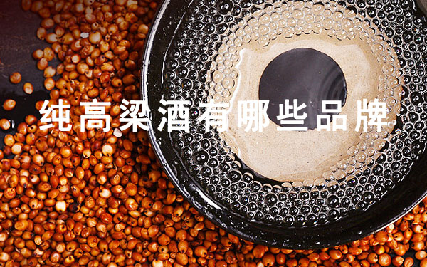 纯高粱酒有哪些品牌
