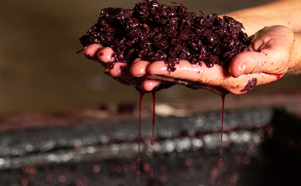 玫瑰花酒的酿制步骤有哪些