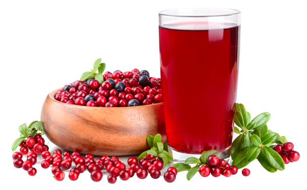 蔓越莓酒的功效与作用及禁忌症