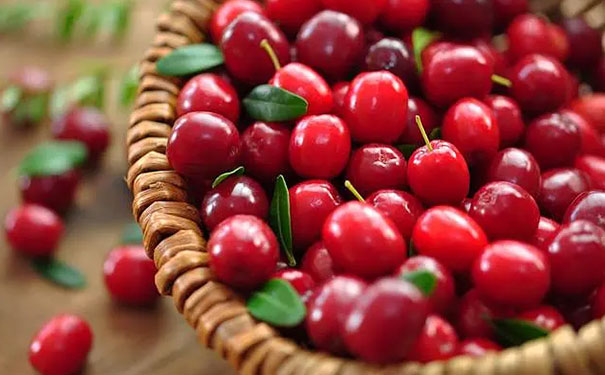 蔓越莓酒制作方法