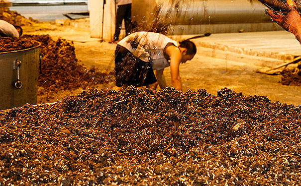 浓香散酒酿造方法是什么