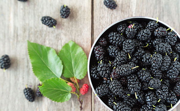 桑葚发酵酒的制作方法