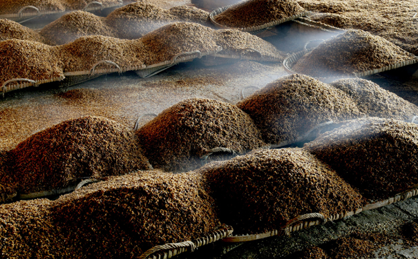 白酒发酵时间是多久，有哪些方面的差异性