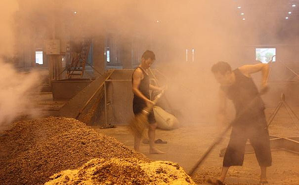 清香型白酒的价格与浓香型价格差异在哪些地方