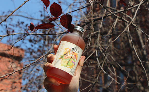 温度青年梅子酒上新