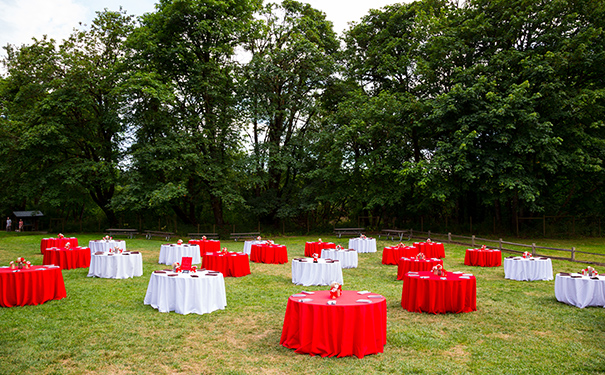 农村坝坝宴用散酒的地方多吗