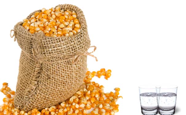 玉米酿造白酒的过程原理是什么