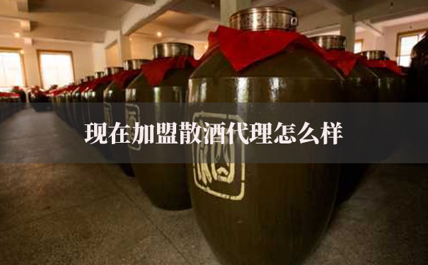 现在加盟散酒代理怎么样
