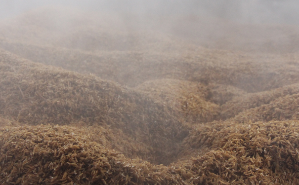 白酒文化探源:中国民俗文化中不可或缺的醇香篇章