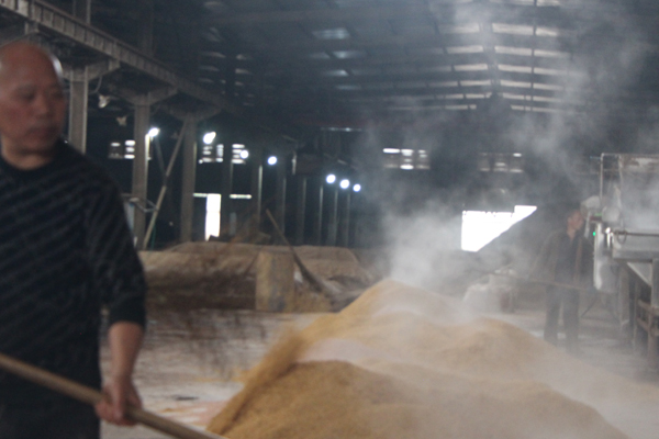 从发酵到蒸馏：图解散白酒的“活态工艺”如何锁住粮食精华