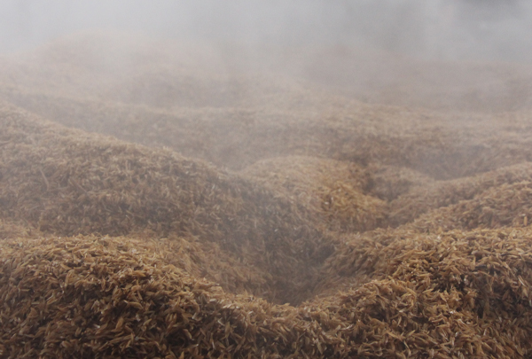 窖池旁的手艺人:一瓢曲粮里的百年匠心密码