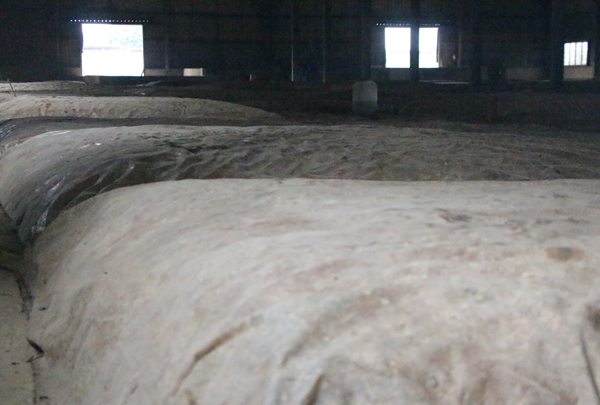 老窖池的呼吸声:听30代酿酒人讲述“泥窖养酒”的时空对话